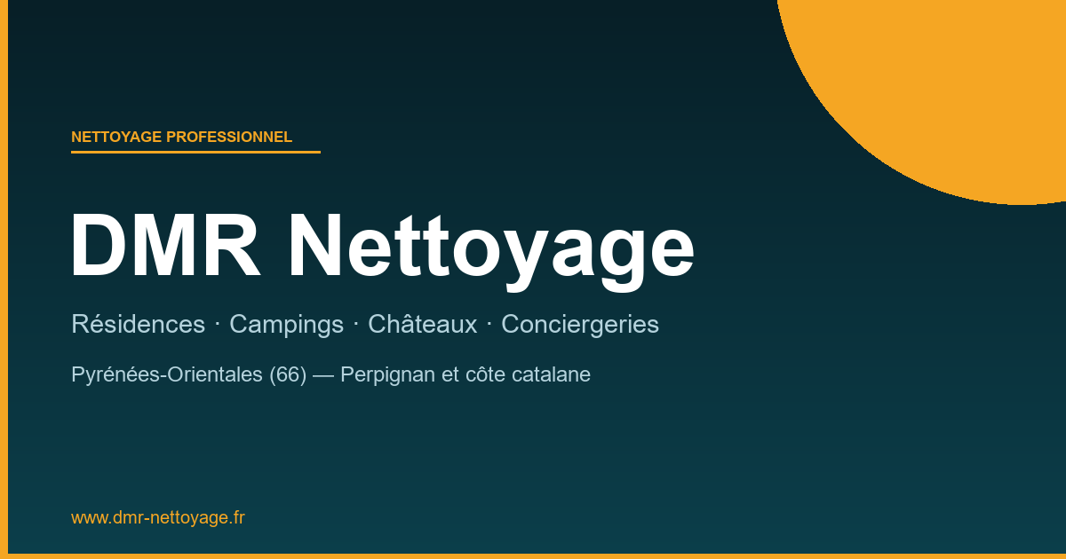 Aperçu du site dmr-nettoyage.fr